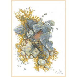 Dominique GAIS - Algue d'Or