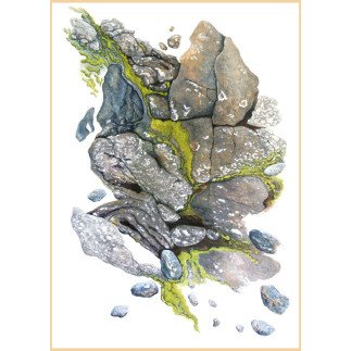 Dominique GAIS - Mousse Brodée