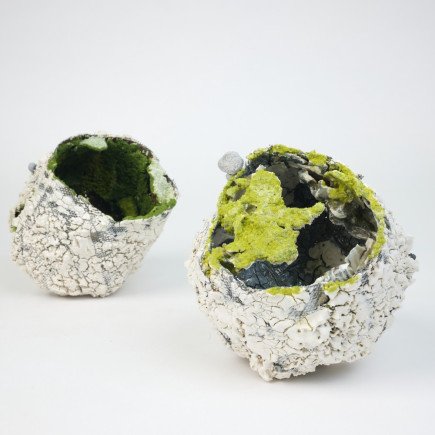 Earth Nidus Parallel world - Ji FAN