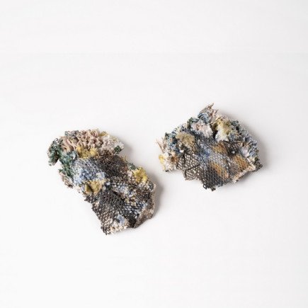 Earth Nidus Fragments