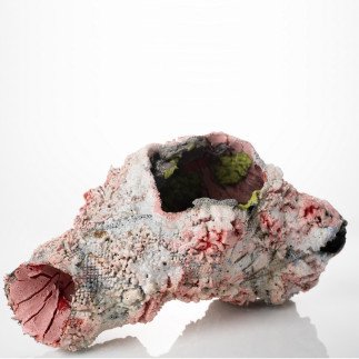 Oscillating 4.2 - Ji FAN