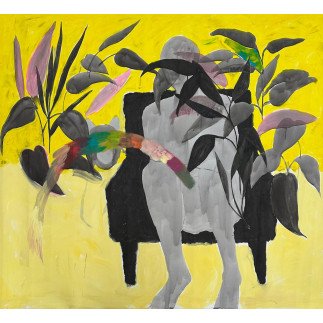 Plantes d'intérieur avec un arc-en-ciel - Iveta BRADACOVA