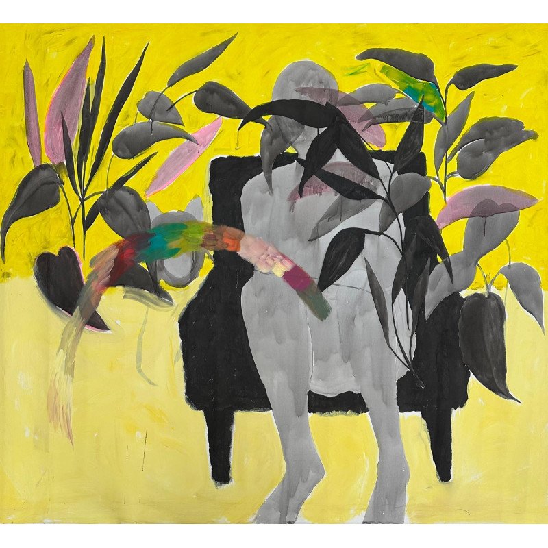 Комнатные растения с радугой