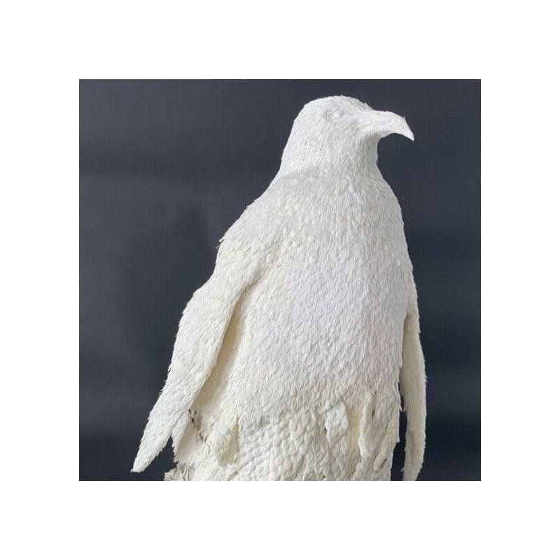 البطريق الإمبراطور