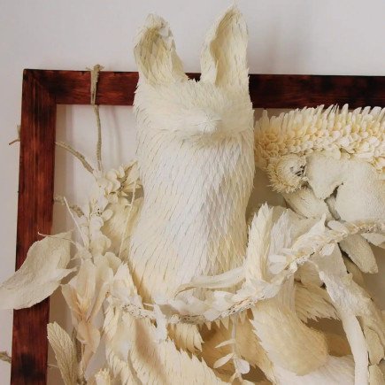 Renard - Vulpes Vulpes - Stéphane BUYENS