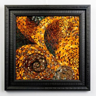 Eclat - Amandine BONNEAU