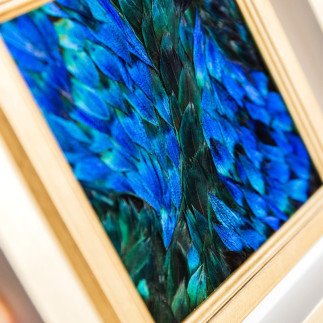 Equilibe - Amandine BONNEAU