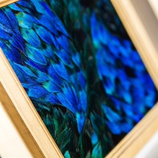 Equilibe - Amandine BONNEAU