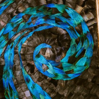 Fond des mers - Amandine BONNEAU