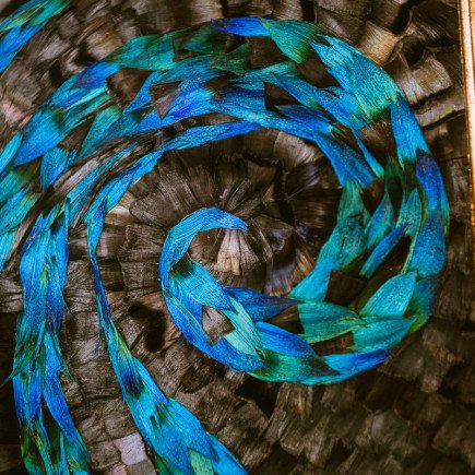 Морское дно