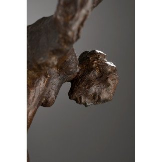 Misericordia - Myriam de LAFFOREST