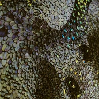 Storm - Amandine Bonneau