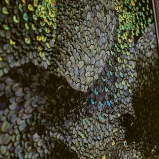 Tormenta - Amandine BONNEAU