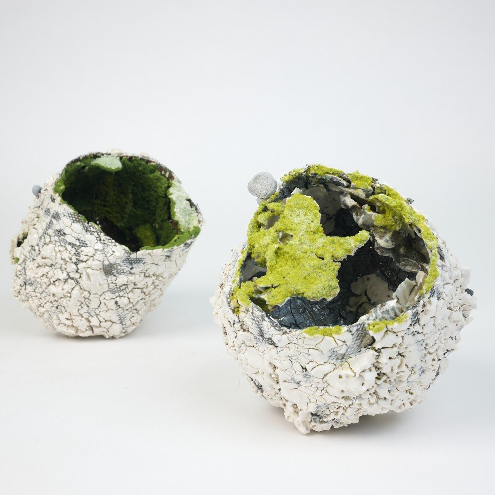 Ji FAN - Earth-Nidus-Parallel-world-2